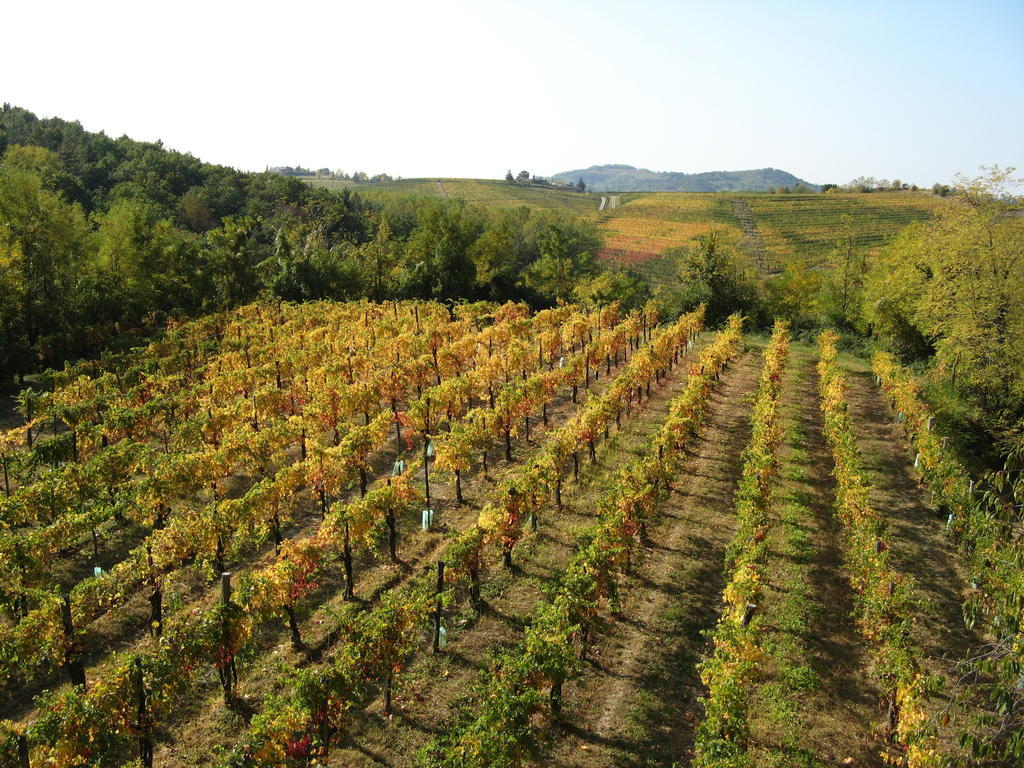 Cividale del Friuli Bosco Romagnoヴィラ エクステリア 写真